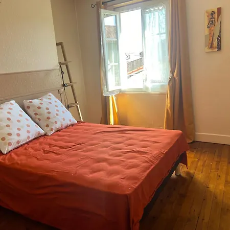Joli Duplex Plein Centre, Parking Sur Demande Apartament Issoire